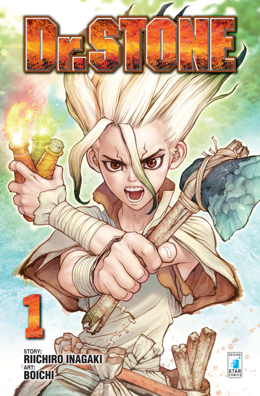 DRSTONE cover regular