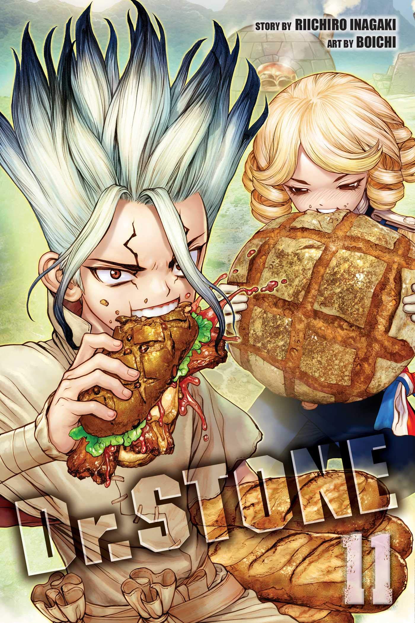 drstone11